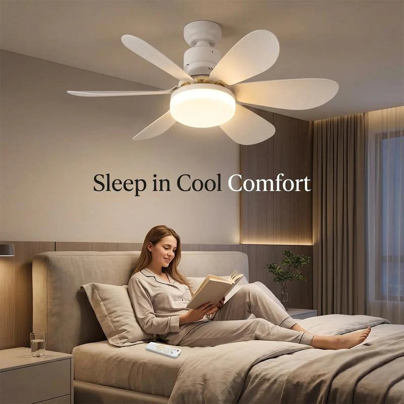 E27 Screw-In Ceiling Fan Light