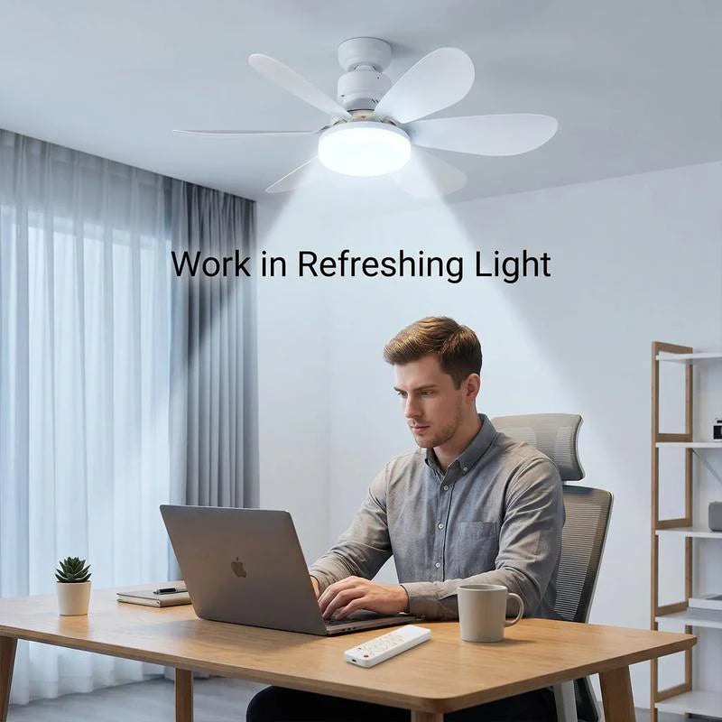 E27 Screw-In Ceiling Fan Light